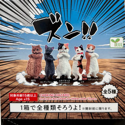 ZUN!! ATTITUDE CAT FIGURINE BLIND BOX (1 Blind Box) (ONLINE ORDER ONLY)