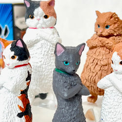 ZUN!! ATTITUDE CAT FIGURINE BLIND BOX (1 Blind Box) (ONLINE ORDER ONLY)