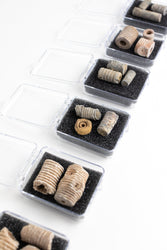 Large Crinoid Fossil (ONLINE ORDER ONLY)