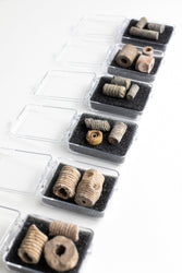 Large Crinoid Fossil (ONLINE ORDER ONLY)