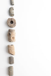 Large Crinoid Fossil (ONLINE ORDER ONLY)