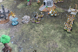 Field of Battle | Neoprene Battle Mat with Bag | Baron of Dice (ONLINE ORDER ONLY)
