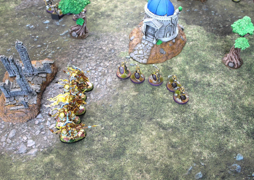 Field of Battle | Neoprene Battle Mat with Bag | Baron of Dice (ONLINE ORDER ONLY)