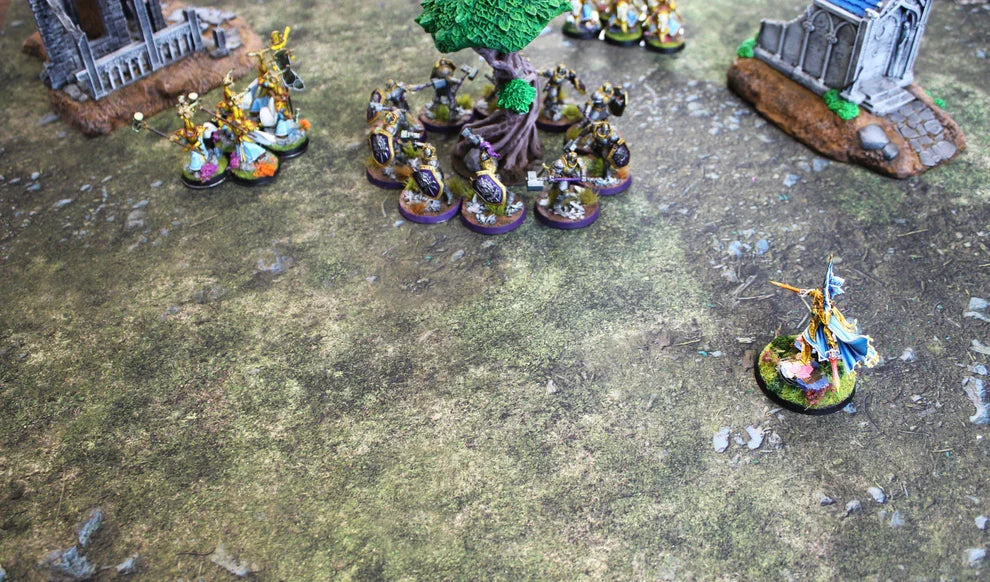 Field of Battle | Neoprene Battle Mat with Bag | Baron of Dice (ONLINE ORDER ONLY)