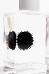 Ferrofluid Display (ONLINE ORDER ONLY)