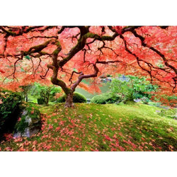 Japanese Maple Tree 1000 Piece Jigsaw Puzzle Peter Pauper (ONLINE ORDER ONLY)