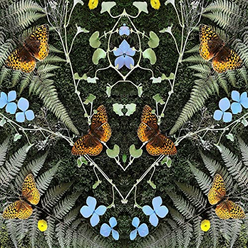 aubades [CD] (ONLINE ORDER ONLY)