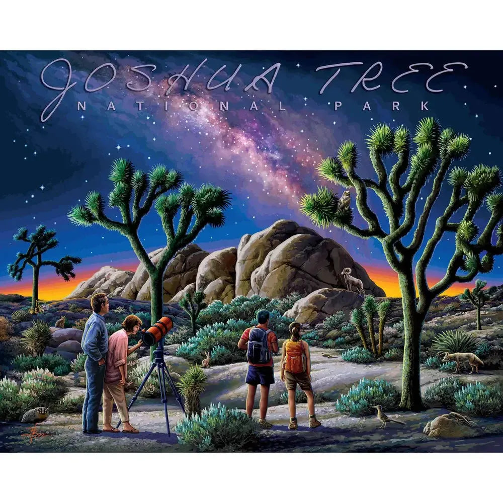 Joshua Tree National Park 210 Piece Jigsaw Puzzle Boardwalk (ONLINE ORDER ONLY)