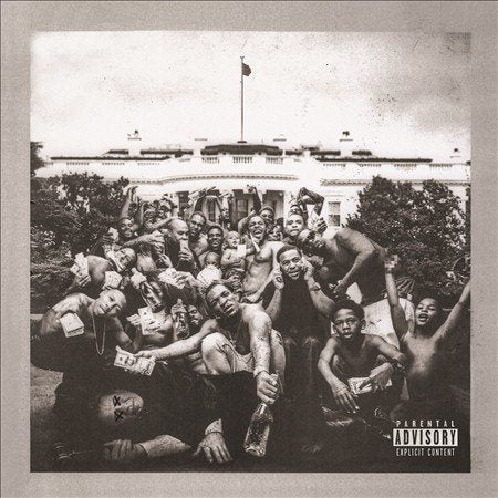 TO PIMP A BUTTERFLY [Vinyl]