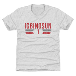 Davison Igbinosun College Font (ONLINE ORDER ONLY)