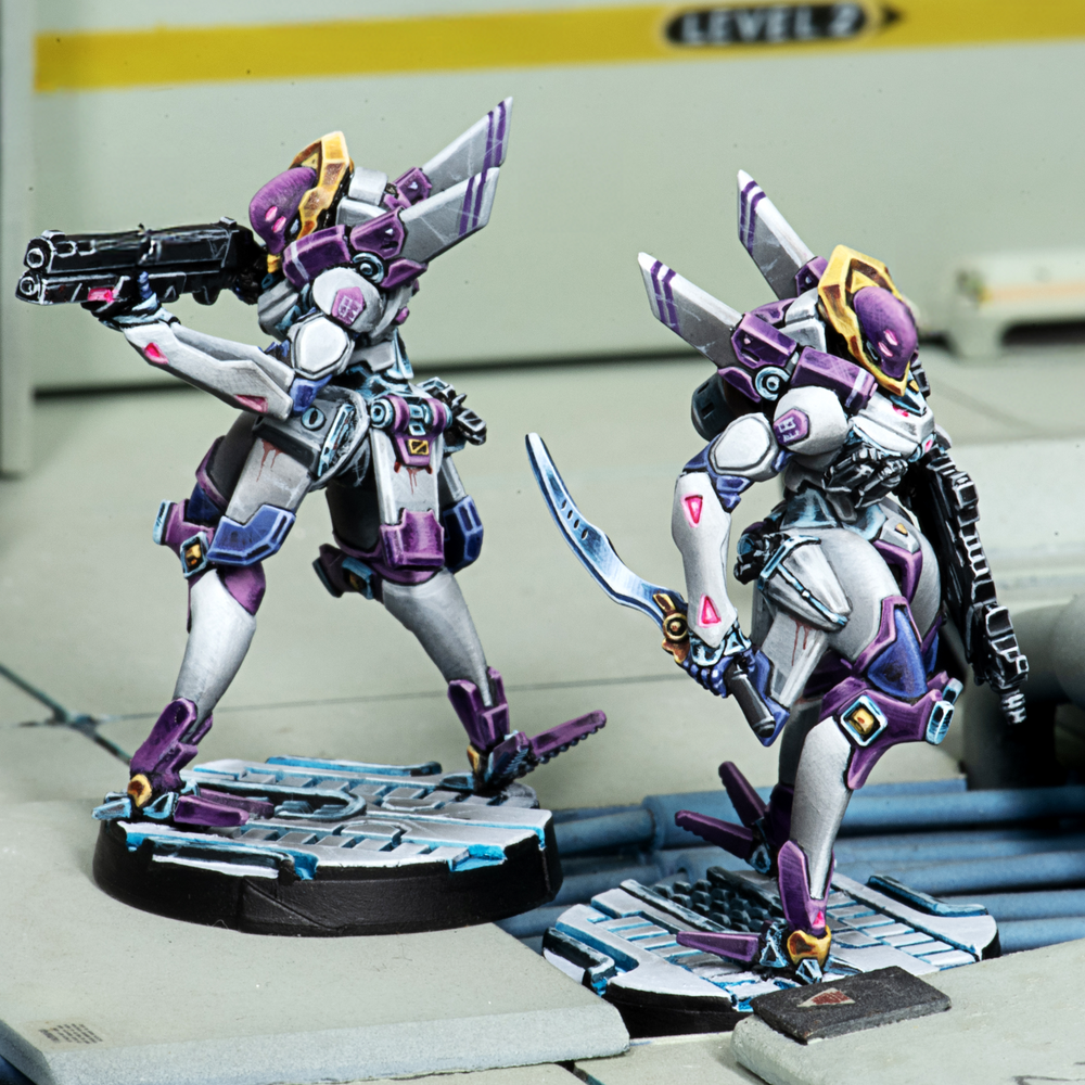 Beyond Operation Mazebreaker (ONLINE ORDER ONLY)