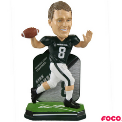 NCAA College Football Super Star Bobbleheads (ONLINE ORDER ONLY)
