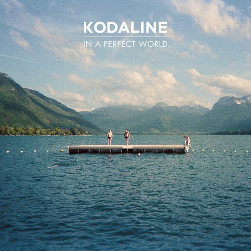 In a Perfect World [Vinyl] (ONLINE ORDER ONLY)