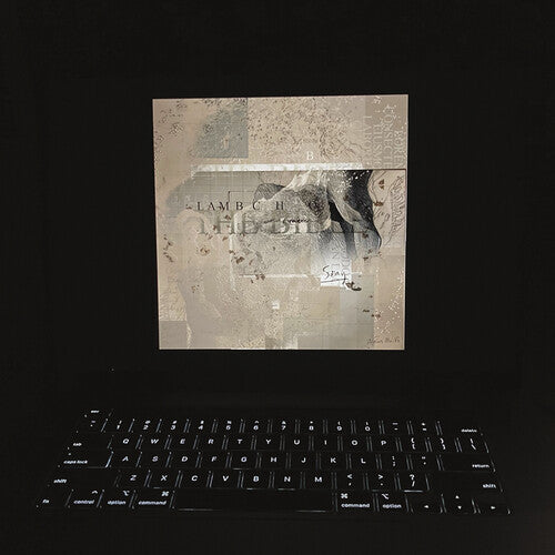 The Bible (Yellow/Black vinyl, IEX, W/Download) (2LP) [Vinyl]