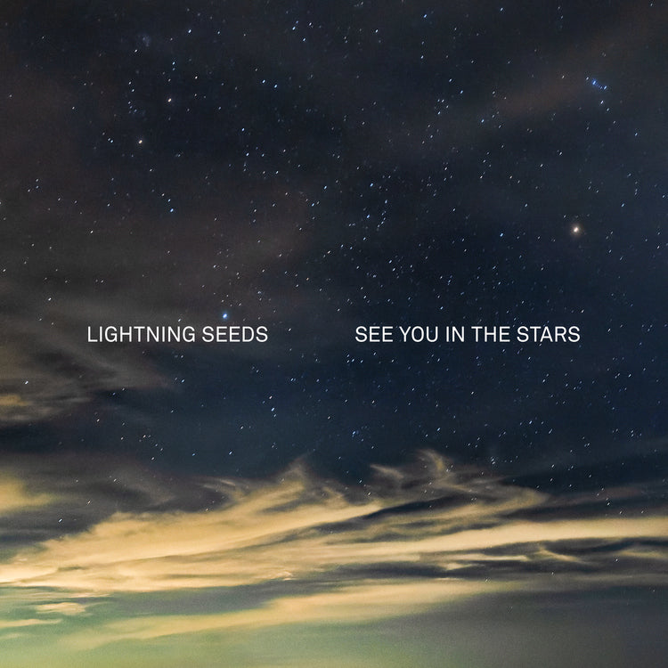 See You in the Stars (INDIE EX) [Vinyl]