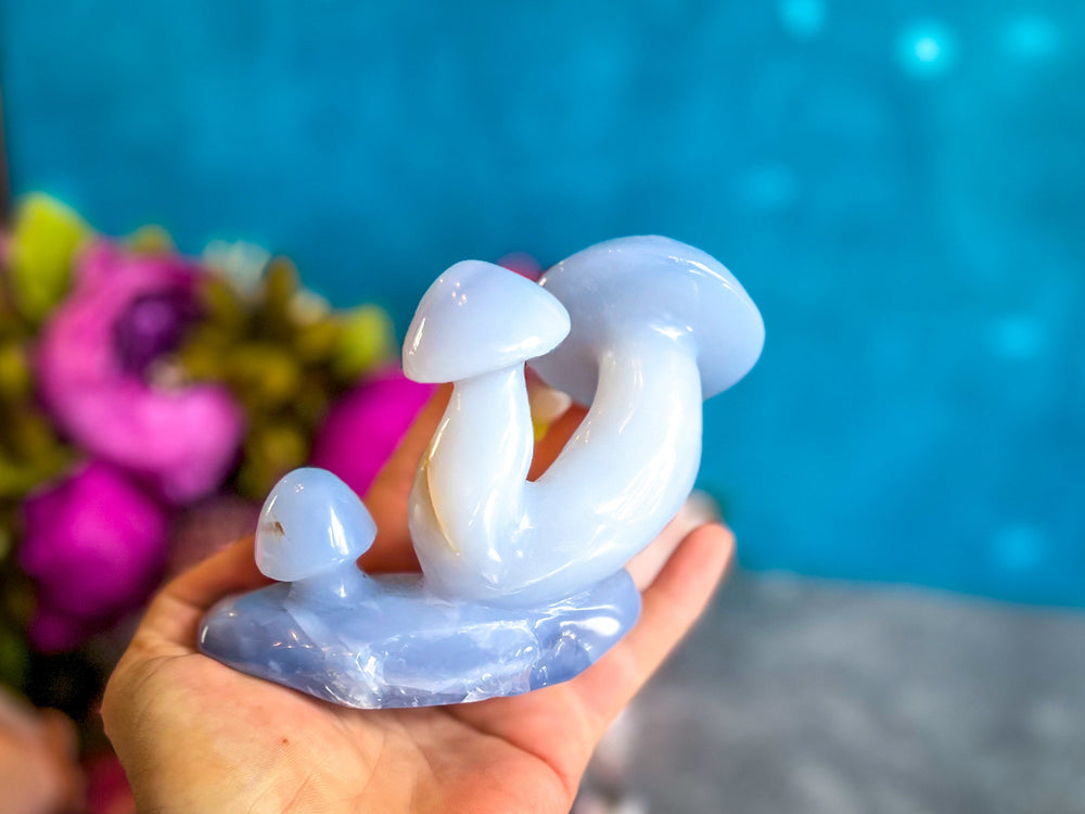 Beautiful 5" Blue Chalcedony MUSHROOM Sculpture (ONLINE ORDER ONLY)