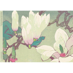 Magnolia by Mabel Royds 500 Piece Jigsaw Puzzle Flame Tree (ONLINE ORDER ONLY)