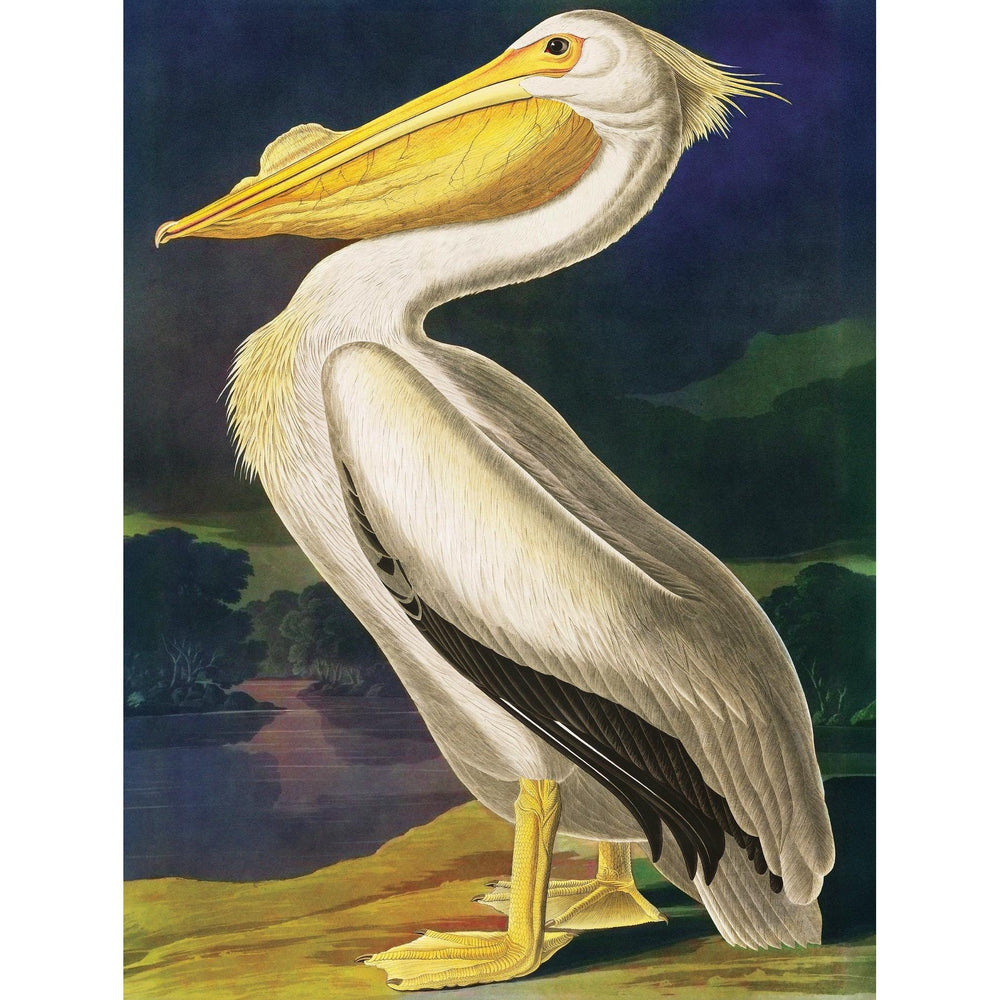 Majestic Pelican Vintage Collection 500 Piece Jigsaw Puzzle NYPC (ONLINE ORDER ONLY)