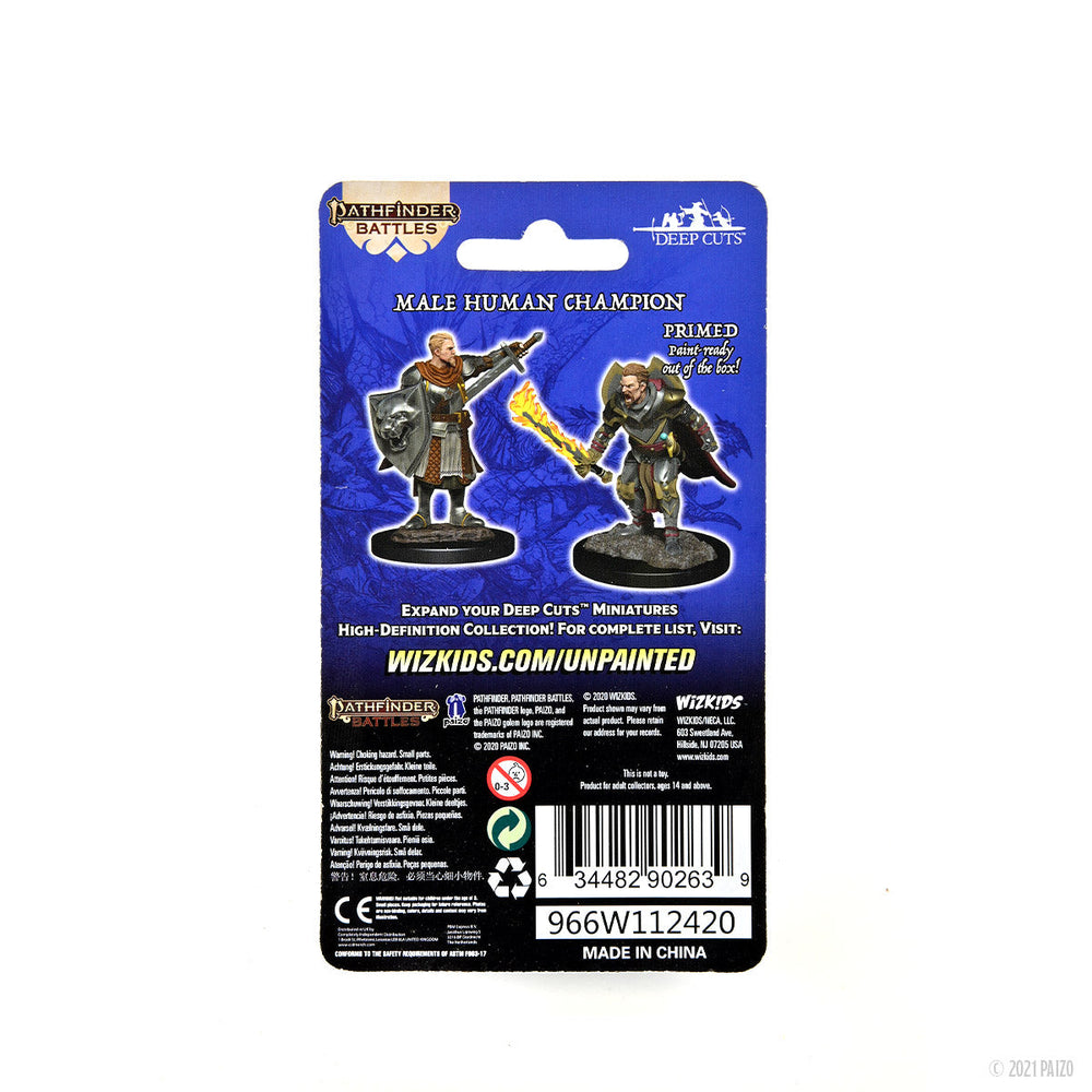 Pathfinder Battles: Deep Cuts - Human Champion Male (ONLINE ORDER ONLY)