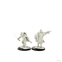 Pathfinder Battles: Deep Cuts - Human Champion Male (ONLINE ORDER ONLY)
