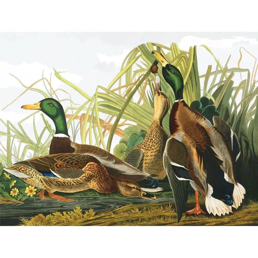 Mallard Ducks Vintage Collection 1000 Piece Jigsaw Puzzle NYPC (ONLINE ORDER ONLY)