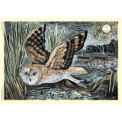 Marsh Owl by Angela Harding 1000 Piece Jigsaw Puzzle Flame Tree (ONLINE ORDER ONLY)