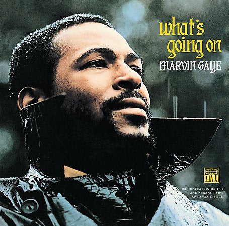 WHAT'S GOING ON (VIN [Vinyl]