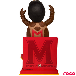 NCAA College Basketball National Champions Mascot Bobbleheads (ONLINE ORDER ONLY)