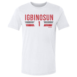 Davison Igbinosun College Font (ONLINE ORDER ONLY)
