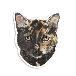 Sticker Pack