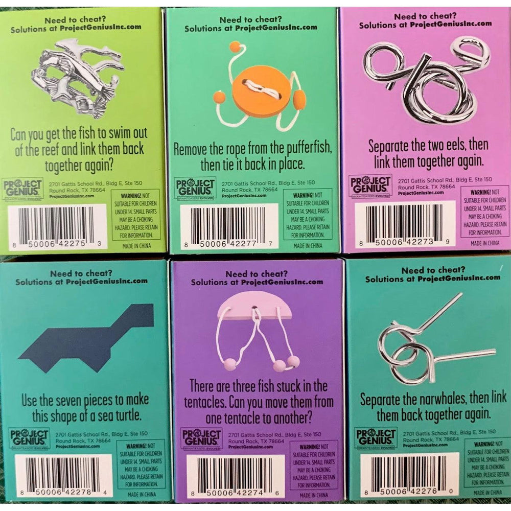 Mini Aquatic Brainteaser Puzzles 6 Piece Set Project Genius (ONLINE ORDER ONLY)