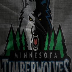 Minnesota Timberwolves Bedding Set Duvet Cover Without Filler (Online Order Only)