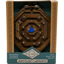 Minotaur's Labyrinth Brainteaser Puzzle True Genius