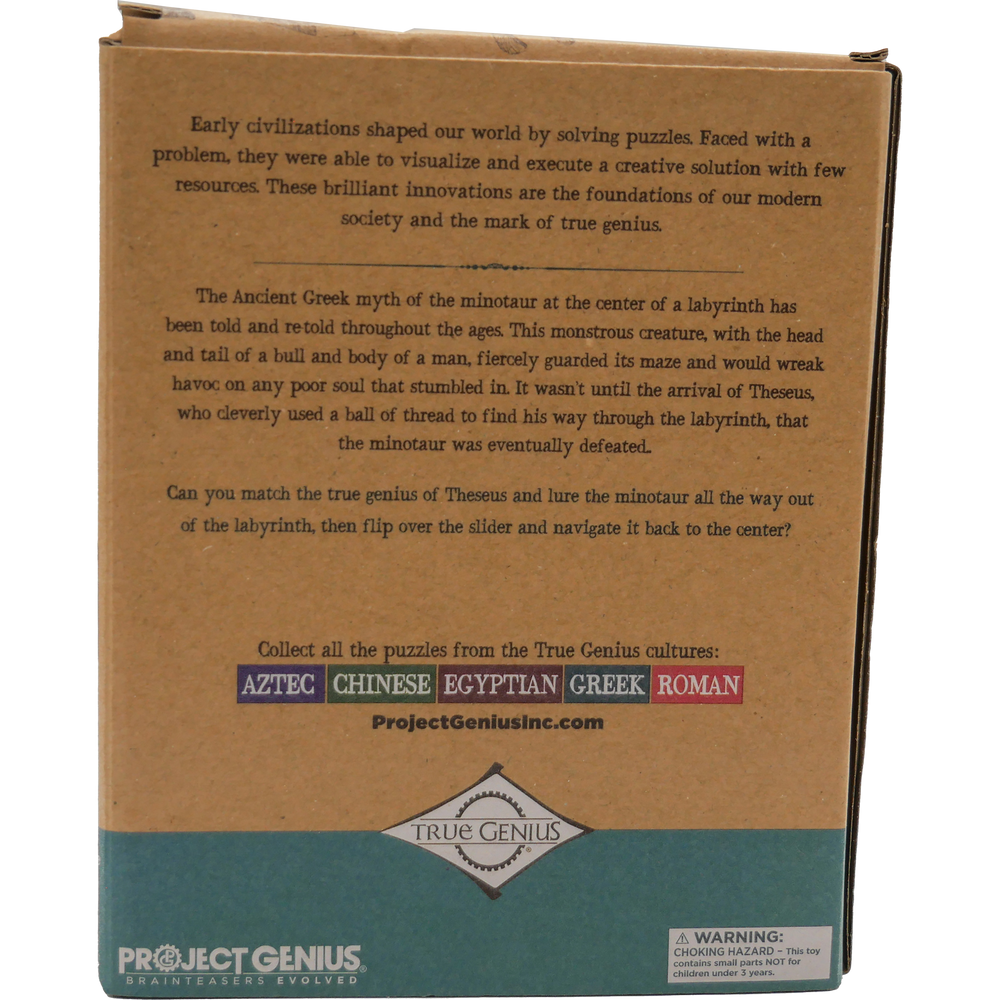 Minotaur's Labyrinth Brainteaser Puzzle True Genius