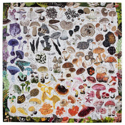 Mushroom Rainbow 1000 Piece Jigsaw Puzzle eeBoo (ONLINE ORDER ONLY)