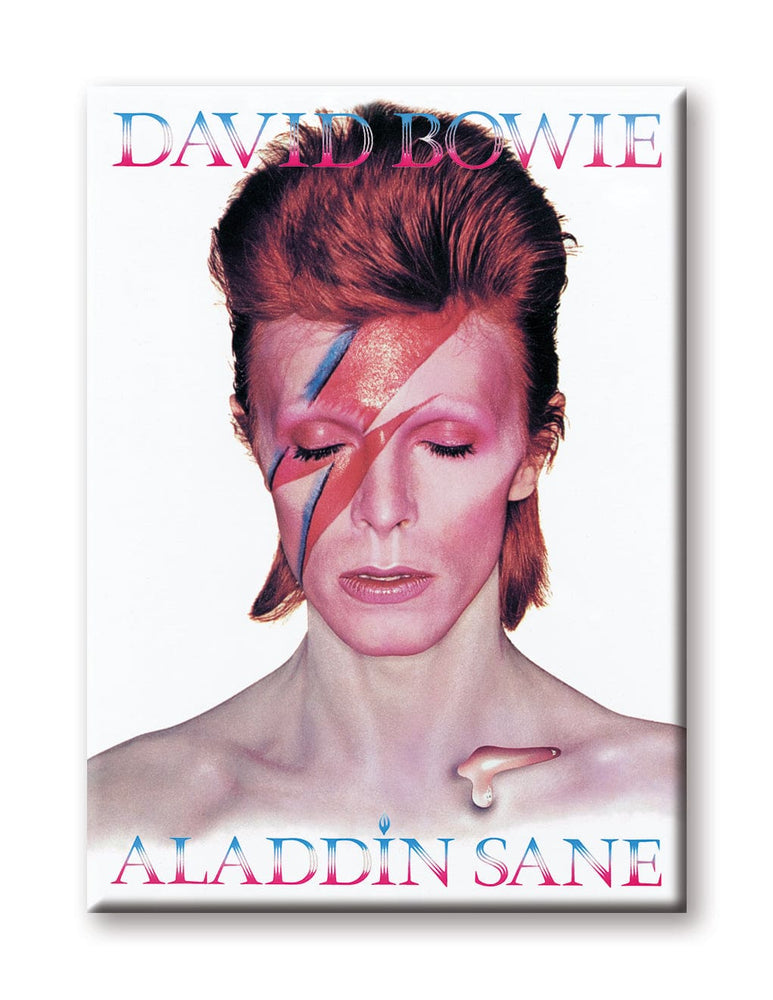 Aquarius Magnets: Flat Magnet - David Bowie - Aladdin Sane