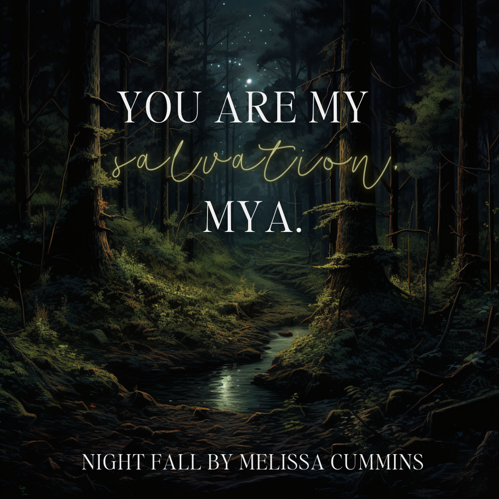 Night Fall Paperback (Online Order Only)