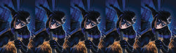 NIGHTWING #60 B Warren Louw Variant (05/15/2019) DC (ONLINE ORDER ONLY)