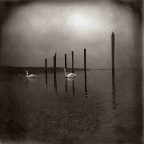 Conference Of The Birds [Vinyl] (ONLINE ORDER ONLY)