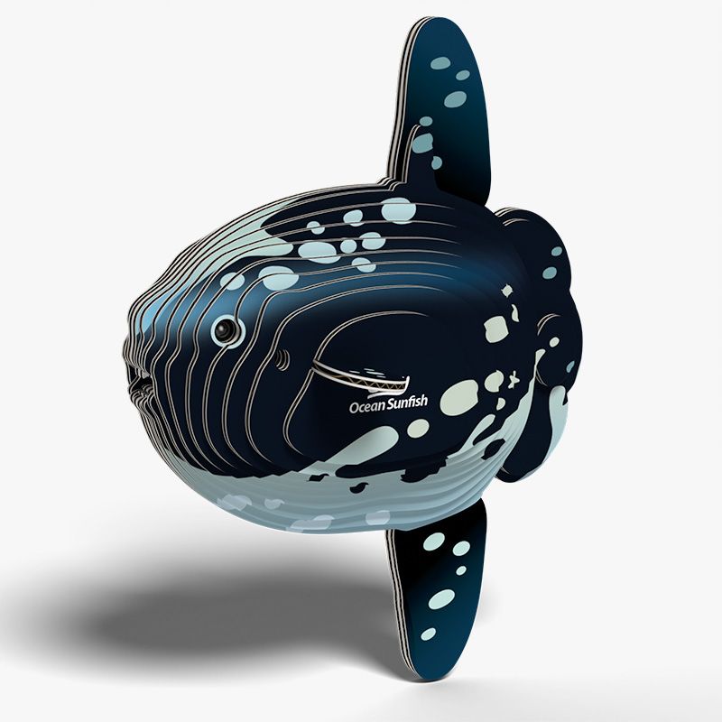 Ocean Sunfish 3D Cardboard Model Kit Eugy (ONLINE ORDER ONLY)