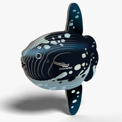Ocean Sunfish 3D Cardboard Model Kit Eugy (ONLINE ORDER ONLY)