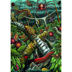 Orb Weavers 1000 Piece Premium Jigsaw Puzzle Art & Fable (ONLINE ORDER ONLY)