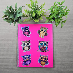 Colorful Owl Stickers (ONLINE ORDER ONLY)