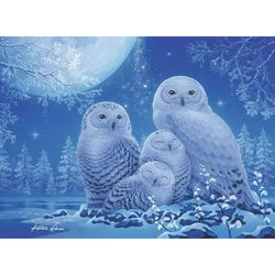Owls in Moonlight 500 Piece Glow in the Dark Jigsaw Puzzle Ravensburger (ONLINE ORDER ONLY)