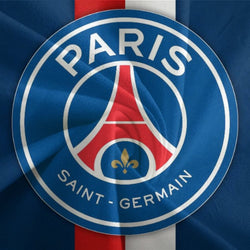 Paris Saint-Germain Bedding Set Pattern Quilt Cover