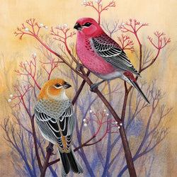 Pine Grosbeaks 500 Piece Jigsaw Puzzle NYPC (ONLINE ORDER ONLY)