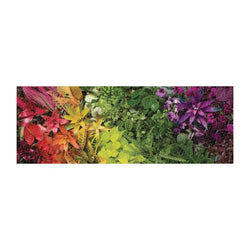 Plant Life 1000 Piece Panoramic Jigsaw Puzzle Galison (ONLINE ORDER ONLY)