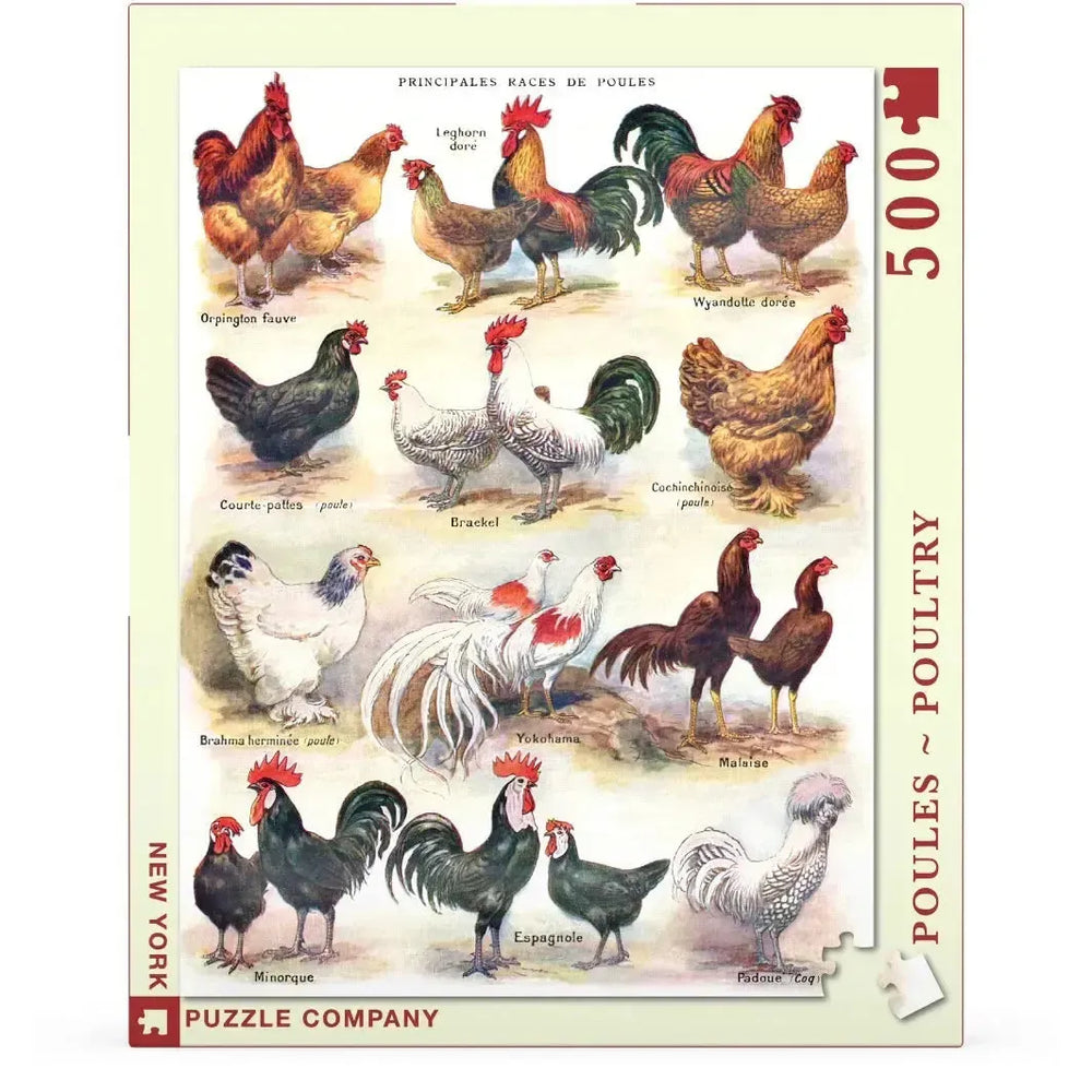 Poules ~ Poultry Vintage Collection 500 Piece Jigsaw Puzzle NYPC (ONLINE ORDER ONLY)