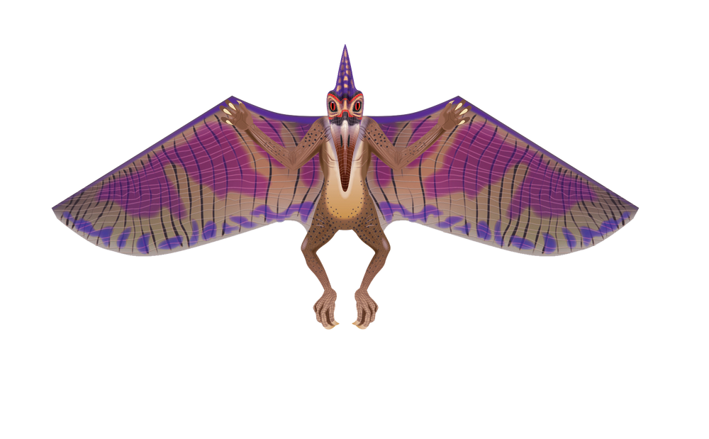 65 Inches Wide Nylon Pterodactyl Kite (ONLINE ORDER ONLY)