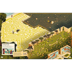 Puzzle Odyssey: An Epic Maze Adventure Book Laurence King (ONLINE ORDER ONLY)
